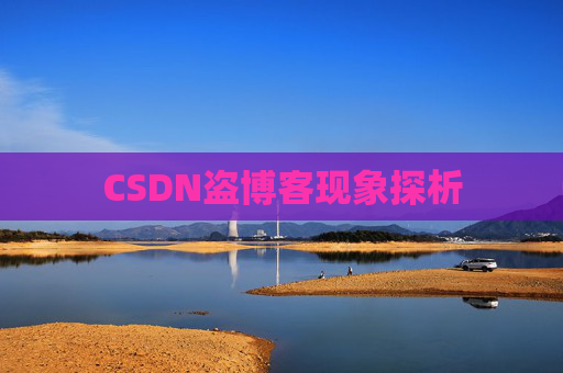 CSDN盗博客现象探析